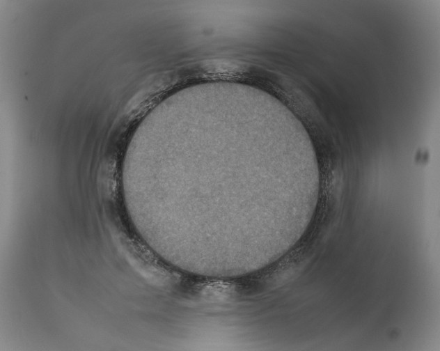 X0000111530599200908251204