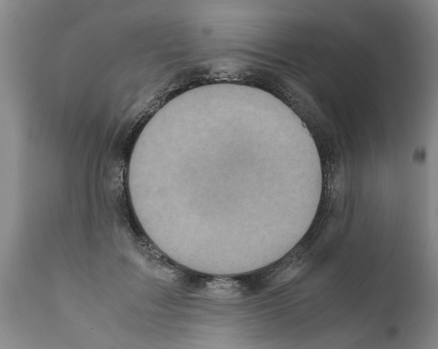 X0000111530603200908251204