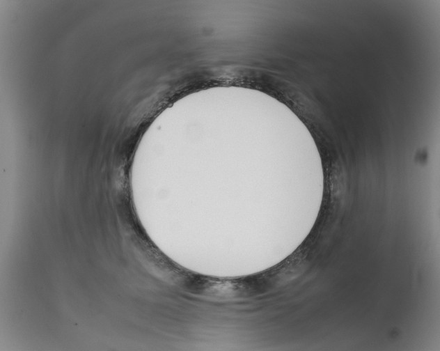 X0000111530611200908251204