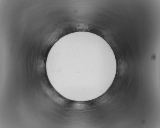 X0000111530614200908251203