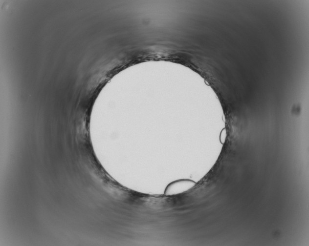 X0000111530615200908251203