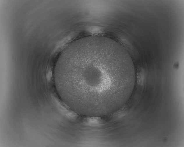 X0000111530618200908251203