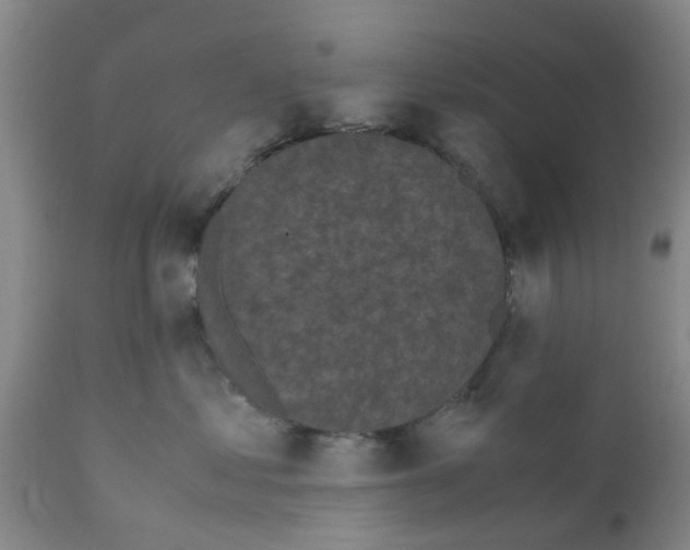 X0000111530621200908251203