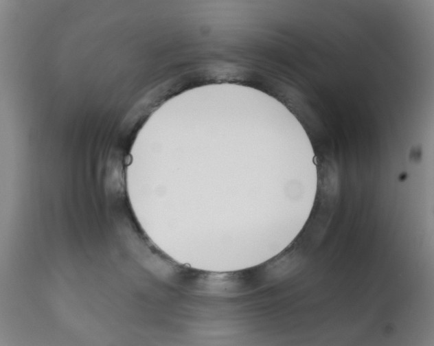 X0000111530622200908251203