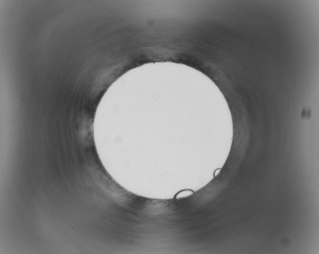 X0000111530624200908251203