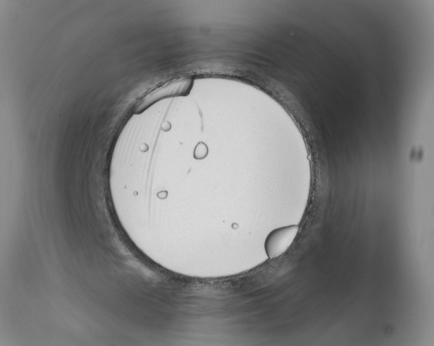 X0000111530625200908251203