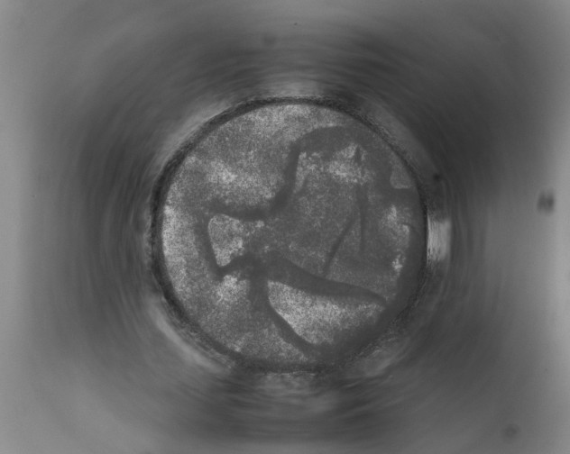 X0000111530627200908251203