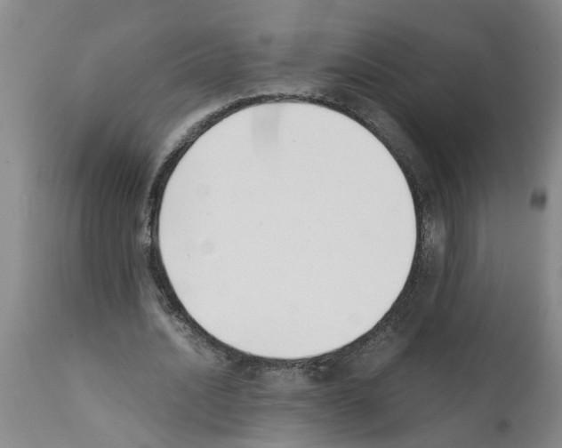 X0000111530628200908251203