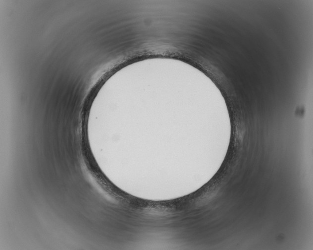 X0000111530630200908251203