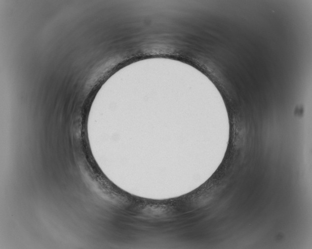 X0000111530631200908251203