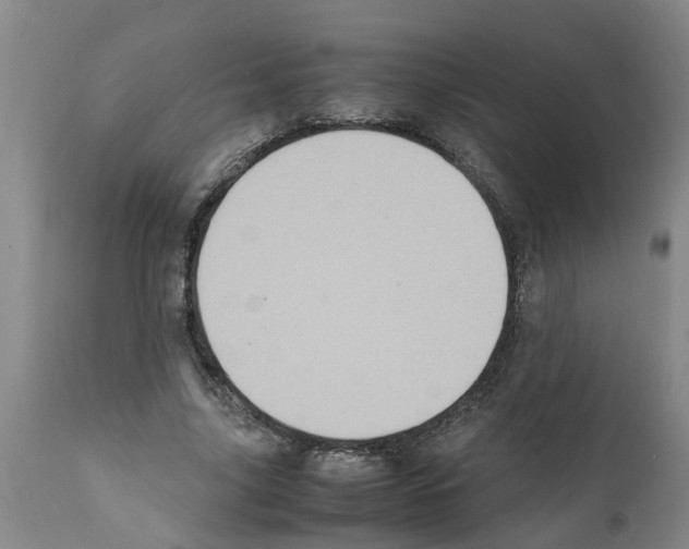 X0000111530635200908251203