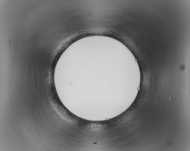 X0000111530636200908251203