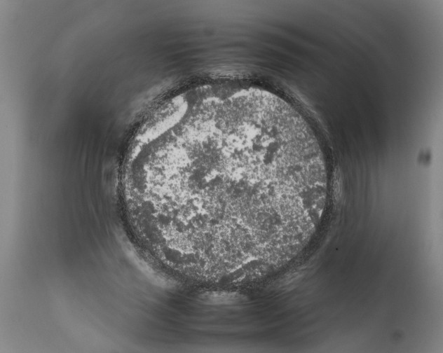 X0000111530637200908251203