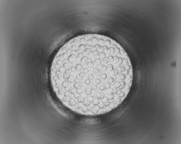 X0000111530638200908251203