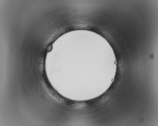 X0000111530642200908251203