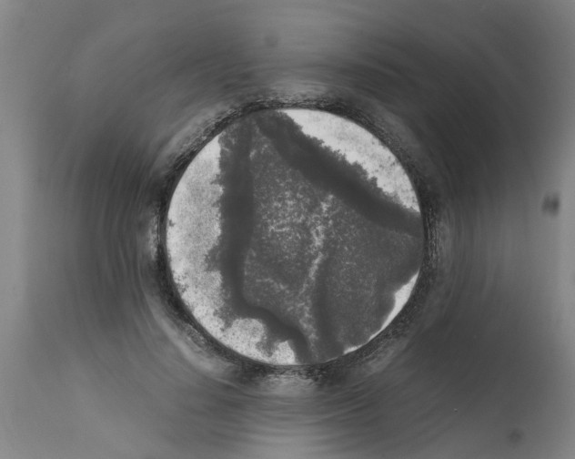 X0000111530644200908251203