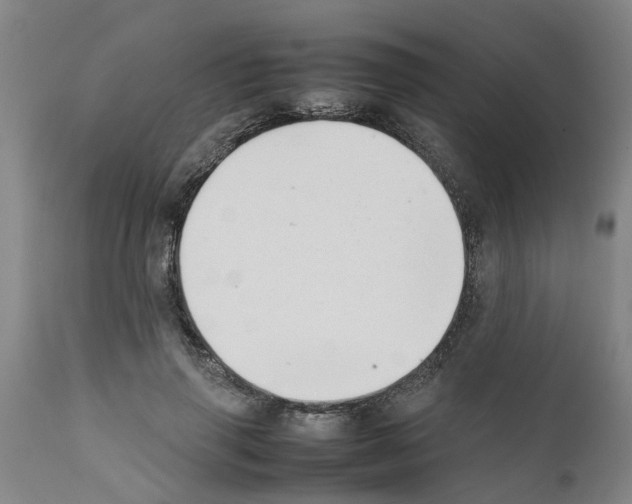 X0000111530645200908251203