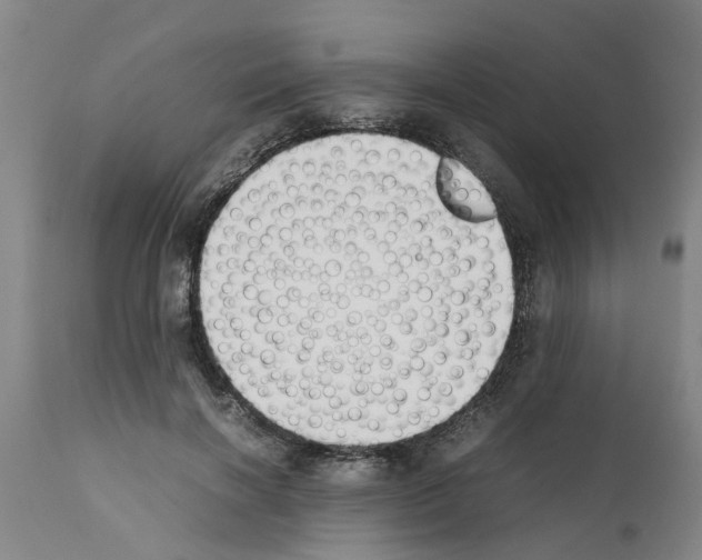 X0000111530646200908251203