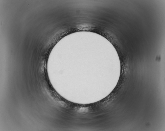 X0000111530647200908251203