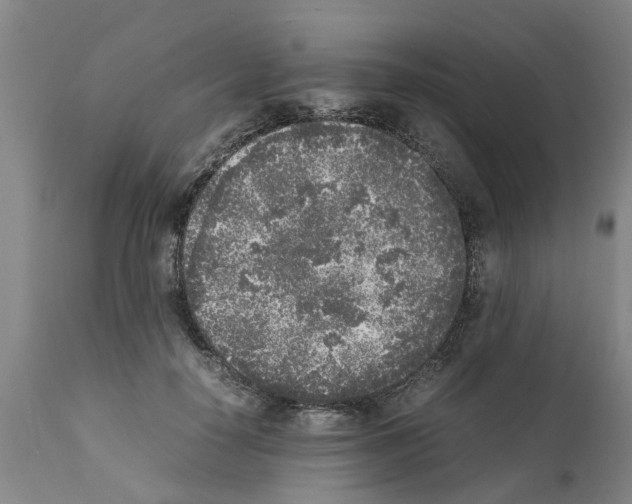 X0000111530650200908251203