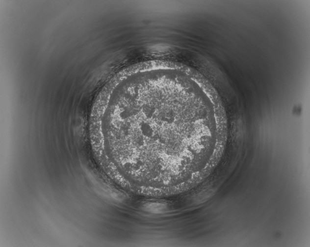 X0000111530653200908251203