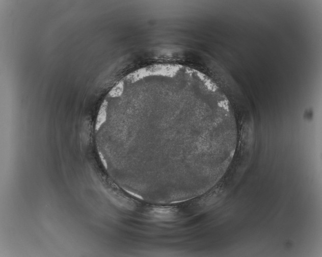 X0000111530659200908251203