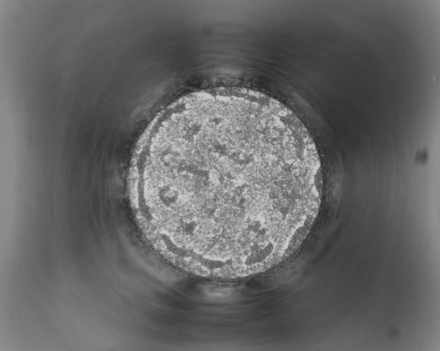 X0000111530661200908251203