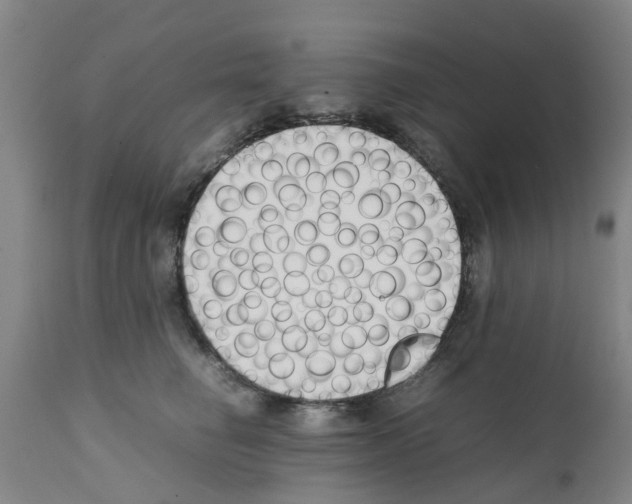 X0000111530662200908251203