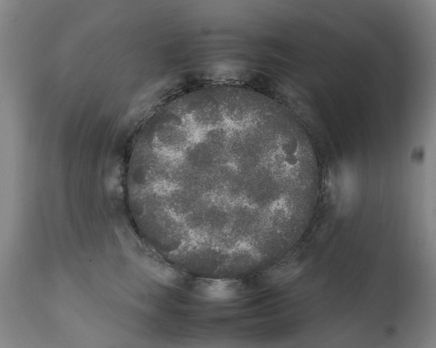 X0000111530663200908251203