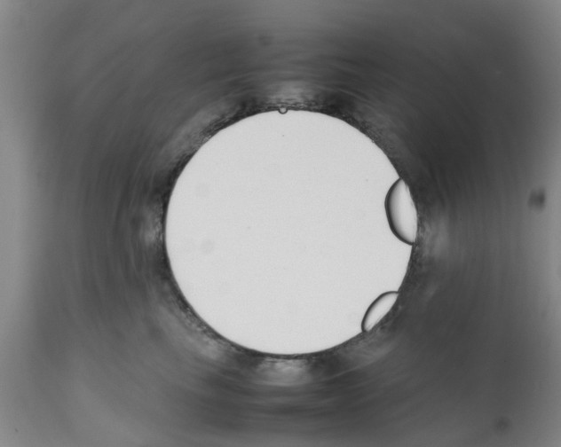 X0000111530665200908251203