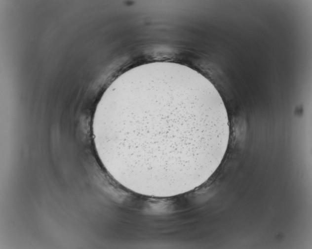 X0000111530667200908251203