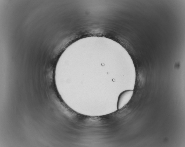 X0000111530668200908251203