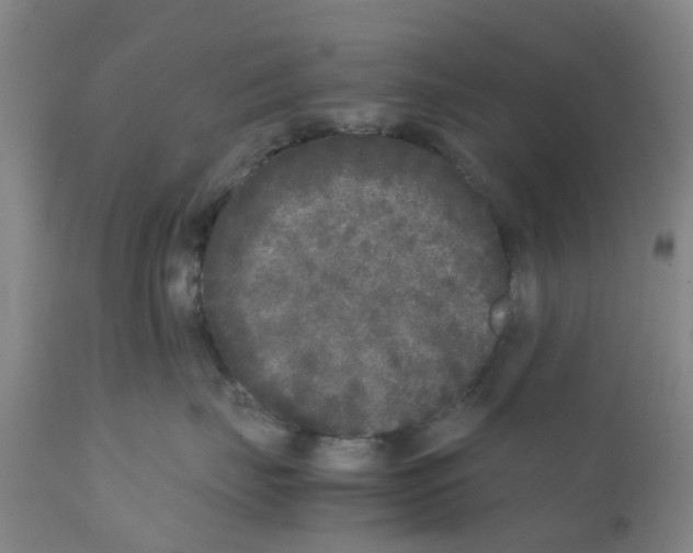 X0000111530671200908251203