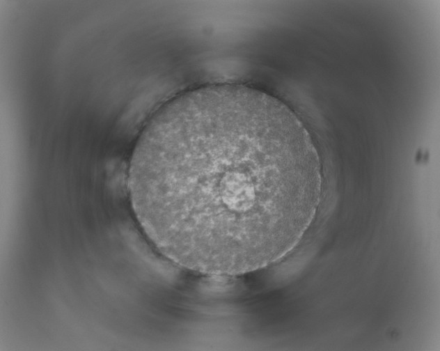 X0000111530672200908251203