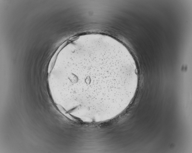 X0000111530673200908251203