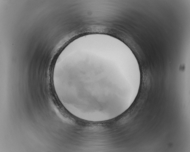 X0000111530674200908251203