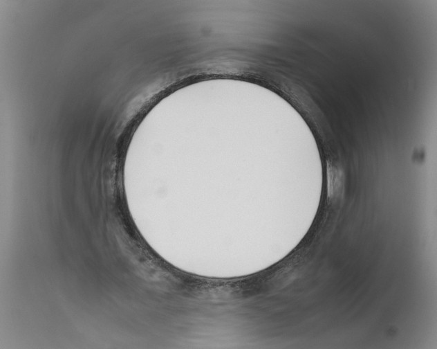 X0000111530675200908251203