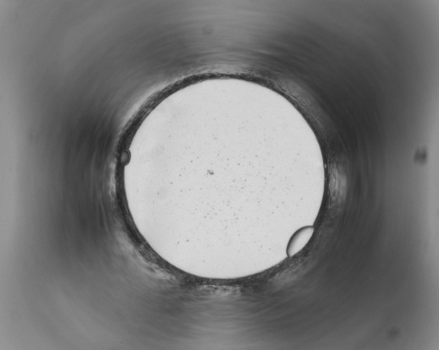 X0000111530676200908251203