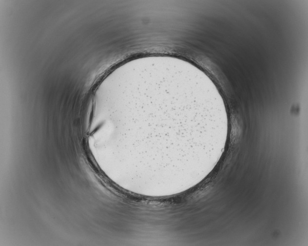 X0000111530677200908251203