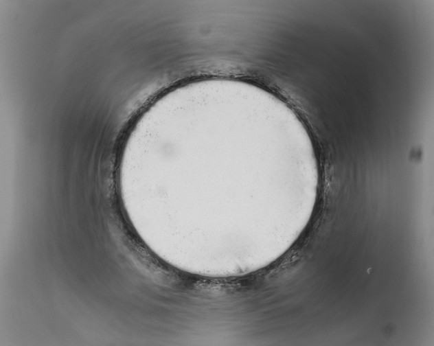 X0000111530679200908251202