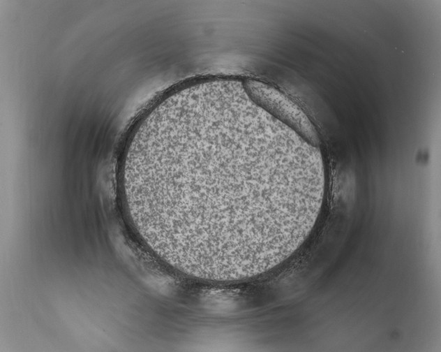 X0000111530680200908251202