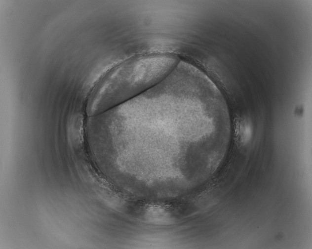 X0000111530684200908251202