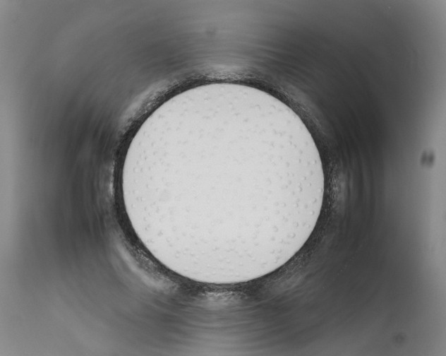 X0000111530686200908251202