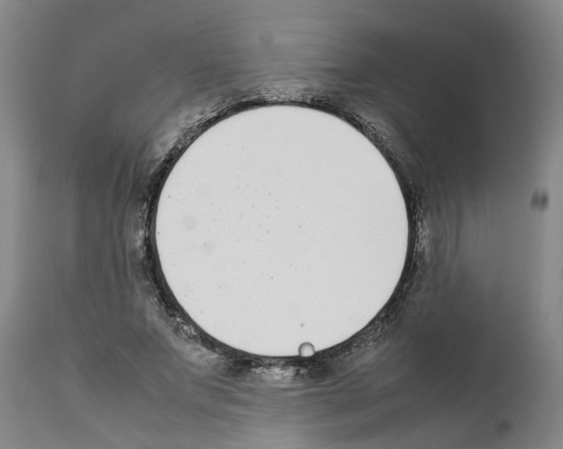 X0000111530687200908251202