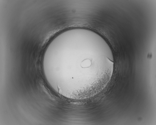 X0000111530688200908251202