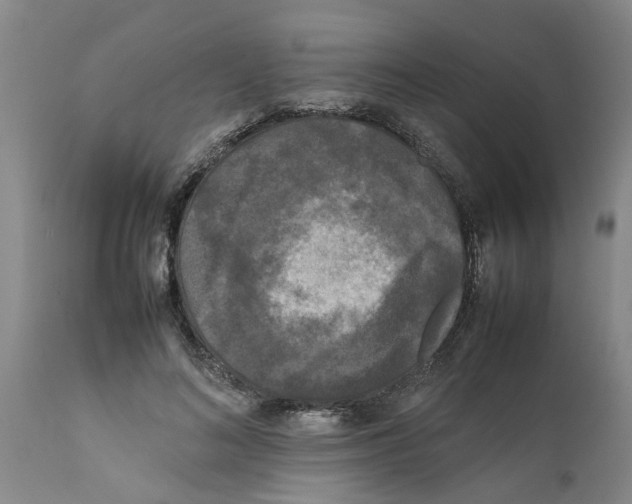 X0000111530692200908251202