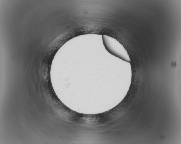 X0000111530693200908251202