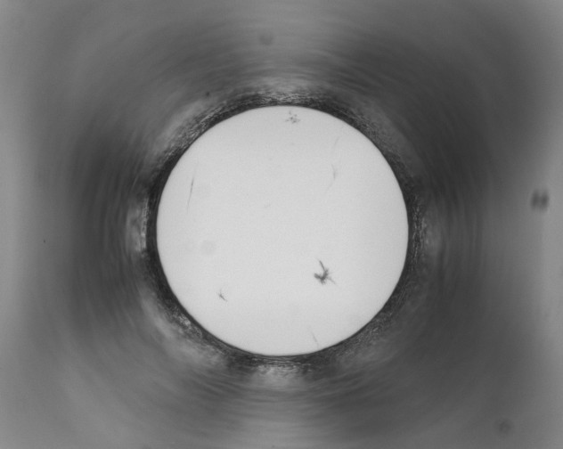 X0000111530694200908251202