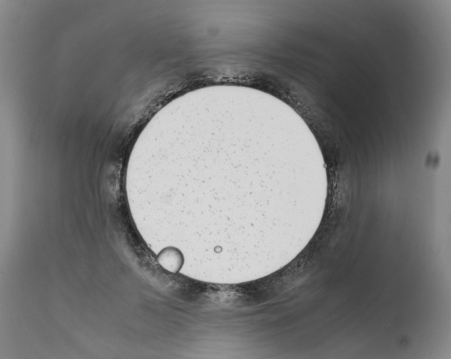 X0000111530695200908251202