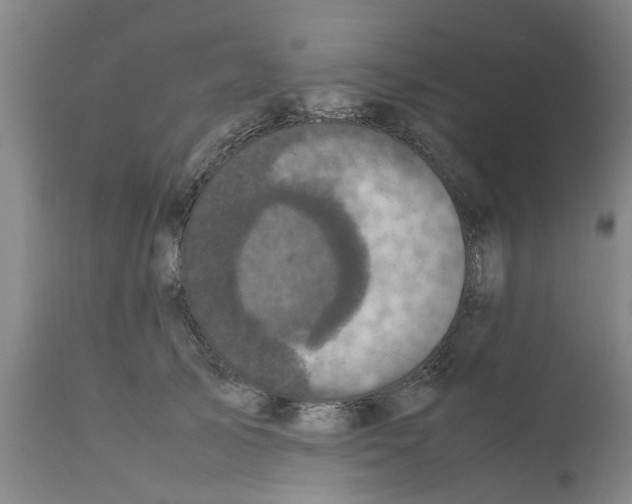 X0000111530705200908251202